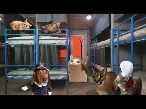 Видео: Шлёпа и Зомби Апокалипсис Revisited ... | Серия 22 | Что с Бингусом ?!