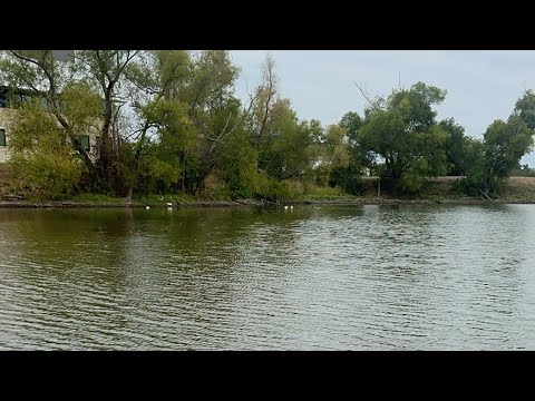 Видео: Daniella Дана Yussupbek is live! Утро🤲🌹💕🐿️🐦‍⬛🦆