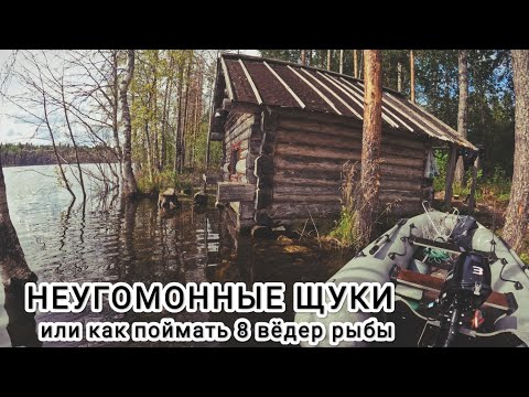 Видео: 3 ДНЯ НА ПУТНЕМ ОЗЕРЕ. РЫБАЛКА УДАЛАСЬ. РЫБАЛКА В КАРЕЛИИ.