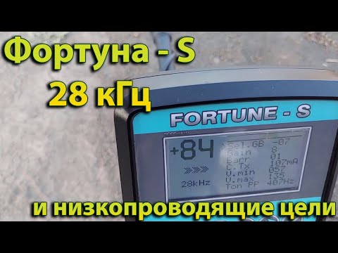 Видео: Фортуна-S ,  чувствительность прибора к низкопроводящим целям на частоте 28 кГц.