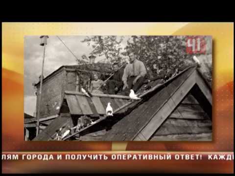 Видео: Разведение голубей