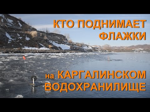 Видео: Кто поднимает флажки на Каргалинском водохранилище. Рыбалка в Актюбинской области