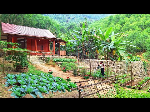 Видео: езжайте из города в лес — постройте ферму, сад, выкопайте пруд для разведения рыбы