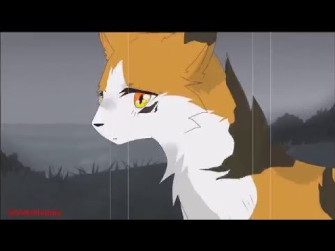 Видео: Кленовница - Angel of Darkness