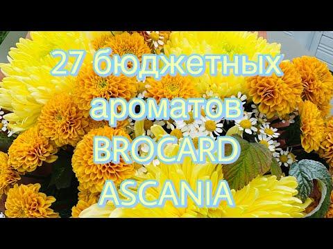 Видео: Огромная посылка! 27 бюджетных ароматов! ❤️Брокард и Аскания 🥰Brocard Ascania