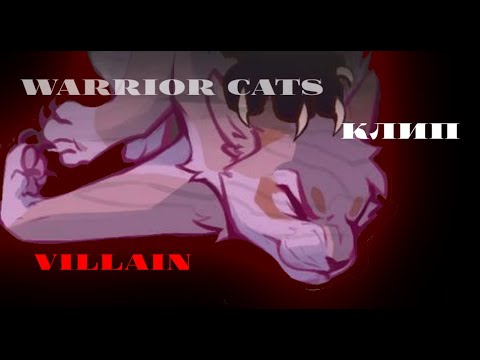 Видео: Warrior cats /коты воители - ~клип~{Villain}