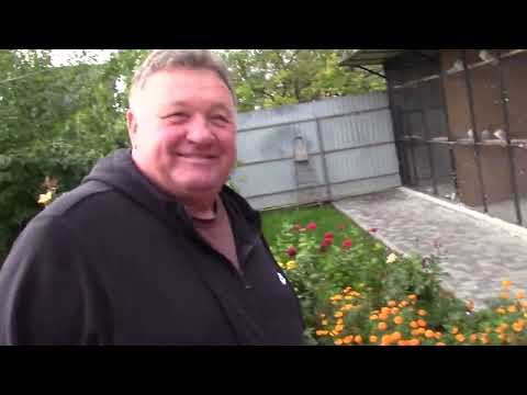 Видео: Ф. 305 .