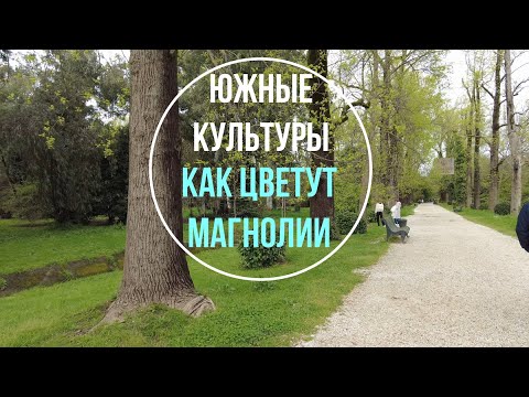 Видео: Парк Южные Культуры | Адлер