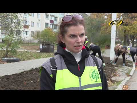 Видео: Зелёная волна осени