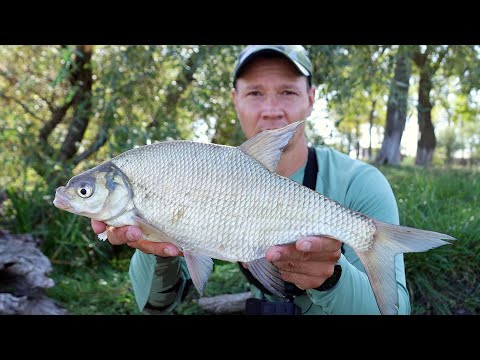 Видео: Тут ловится, рыбалка с хорошим клёвом и уловом