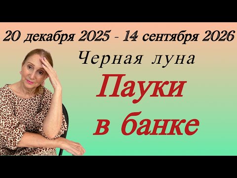 Видео: 🔴 20 декабря 2025- 14 сентября 2026 ЧЕРНАЯ ЛУНА 🔴Пауки в банке .все знаки зодиака Розанна Княжанская