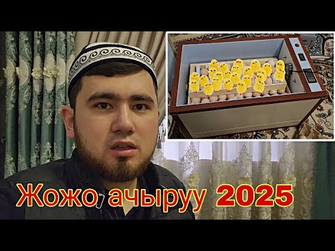 Видео: От и До. Жожо чыгаруу 2025. Жожо чыгаруу инструкциясы
