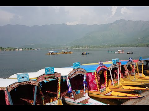Видео: Индия Сринагар озеро Дал