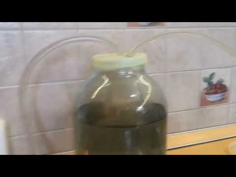 Видео: Очистка дистиллята кокосовым углем на уникальном приспособлении