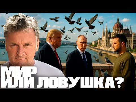 Видео: Будапештский стол переговоров: шанс на диалог или ловушка?  - Балашов