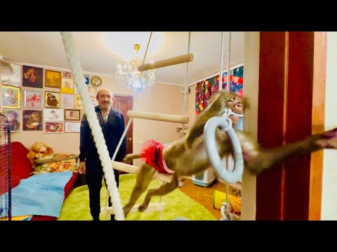 Видео: Что творит эта Люська! У нее ЗАБРАЛИ  КОТЁНКА и Люська пошла в разнос)))