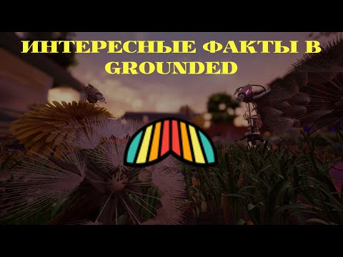 Видео: ИНТЕРЕСНЫЕ ФАКТЫ В GROUNDED 1 ЧАСТЬ