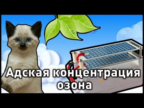 Видео: Влияние большой концентрации озона. Эксперименты.
