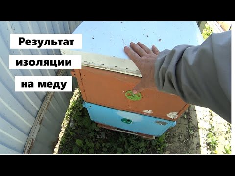 Видео: Результат ограничения матки на меду в 25 году