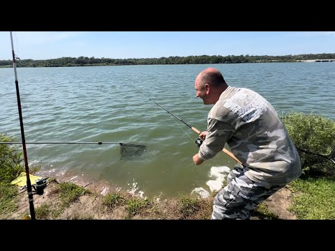 Видео: УТРЕННЯЯ🎣 РЫБАЛКА в жару: ловля 🐟САЗАНА И СОМОВ на озере! #поплавокрыбалкадлявсех #подпишись #like 