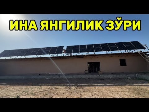 Видео: ХОРАЗМ ШАРАЙОТИДА ХАЛИ БУ́ЛМАГАН ЯНГИЛИК ЗУ́РИ ХАММА КУ́РСИН
