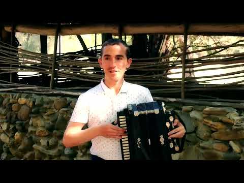 Видео: VI съезд гармонистов Шовгеновского района