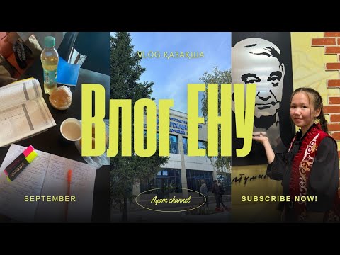 Видео: ЕНУ ВЛОГ // универдегі күнім қалай өтуде? ✨👀