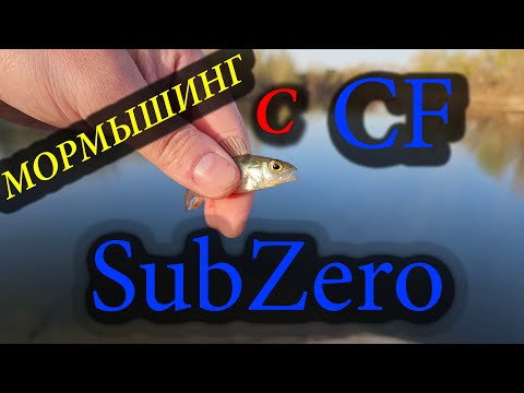 Видео: CF Sub Zero мормышинг на уклейку и встреча подписчика