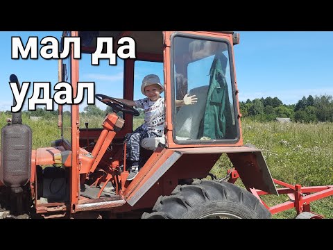 Видео: Пашем сухую землю. Самодельный плуг "по рецепту " Шкуратова.