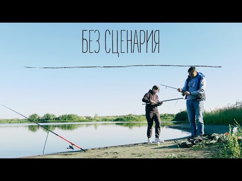Видео: VLOG Без сценария #8
