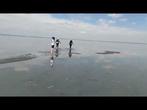 Видео: 20 июня 2022 г.