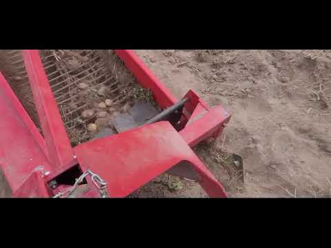 Видео: Уборка травы и копка бульбы однорядной копалкой виракс