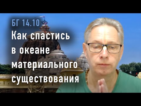 Видео: 2023-11-28 - БГ 14.10 - Как спастись в океане материального существования