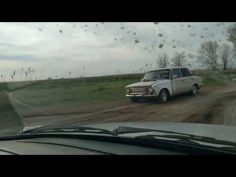 Видео: Сальский район Юловский 2022весна