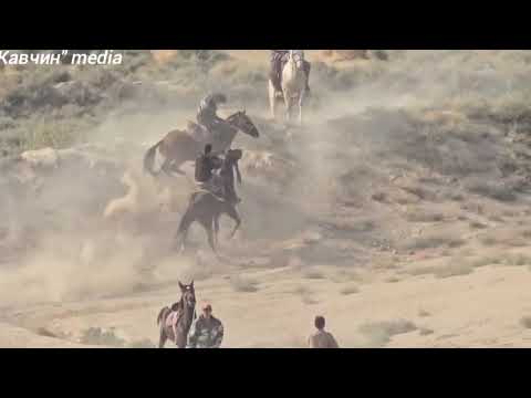 Видео: бузкаши🐎 дехайи ГУЛИСТОН 25.10.2025