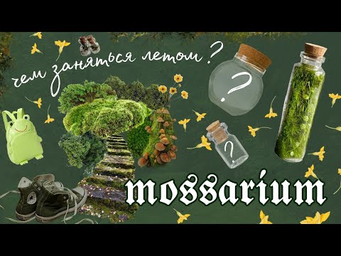 Видео: ☀️чем заняться летом?🌿mossarium goblincore diy