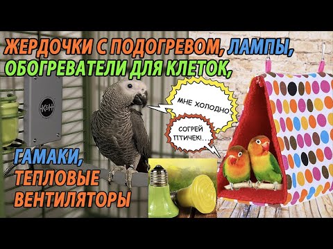 Видео: КАК СОГРЕТЬ ПОПУГАЯ ЕСЛИ В ДОМЕ ХОЛОДНО | ЖЕРДОЧКИ С ПОДОГРЕВОМ | ОБОГРЕВАТЕЛИ ДЛЯ КЛЕТКИ | ЛАМПЫ