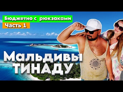 Видео: Мальдивы, о. Тинаду. Часть 1. Акулы/Черепахи/Попугаи