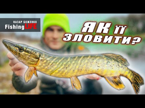 Видео: Якщо ЩУКА Є і Не Клює - ЛОВИ ЇЇ ТАК!