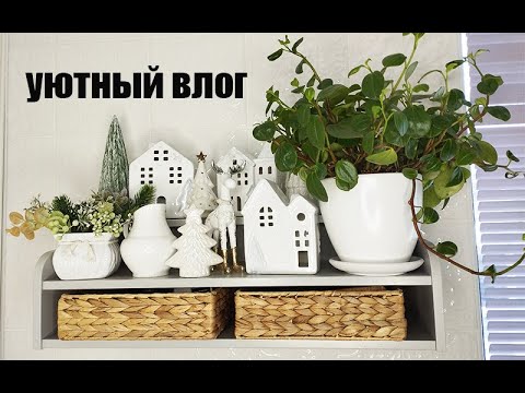 Видео: Меню на выходные - 6 рецептов/покупки для дома/комнатные растения / купила семена/ отдых за городом/