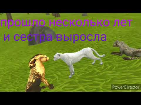 Видео: мини фильм wildcraft сестра