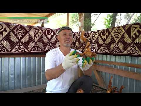 Видео: Наши регионы: Баткенская область