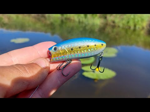 Видео: ВСЯ ЩУКА В ТРАВЕ, ТОЛЬКО КИДАЙ и ОНА ХАПНЕТ! Рыбалка на спиннинг на воблер в 2025