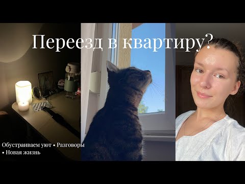 Видео: Переезд в новую квартиру | уютная атмосфера и разговоры ☕
