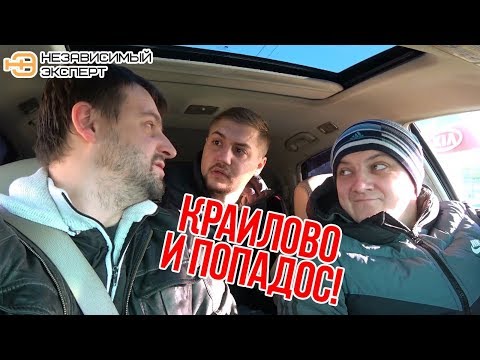 Видео: ТАК ВЫГЛЯДИТ ЖАДНОСТЬ!