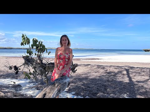 Видео: Открыли отель в африканском лесу