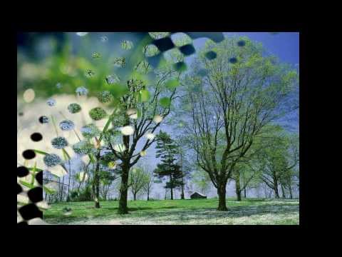 Видео: Времена года - Презентация для детей (Полная версия)