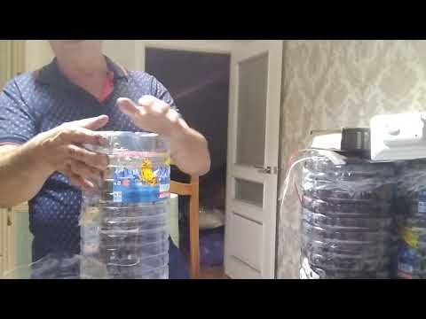 Видео: 3 марта 2024 г.стратификация настольных прививок