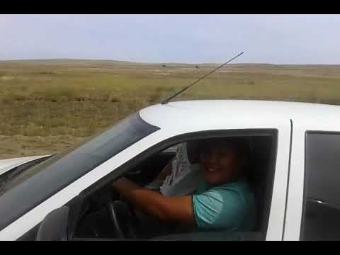 Видео: наадым 2015 Гаврюша биле Правыйнын сокчуп батканы, Аът чарыжы