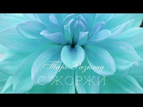Видео: 🙈Какво харесва и какво Не в отношението Ви към него/нея? 🍹